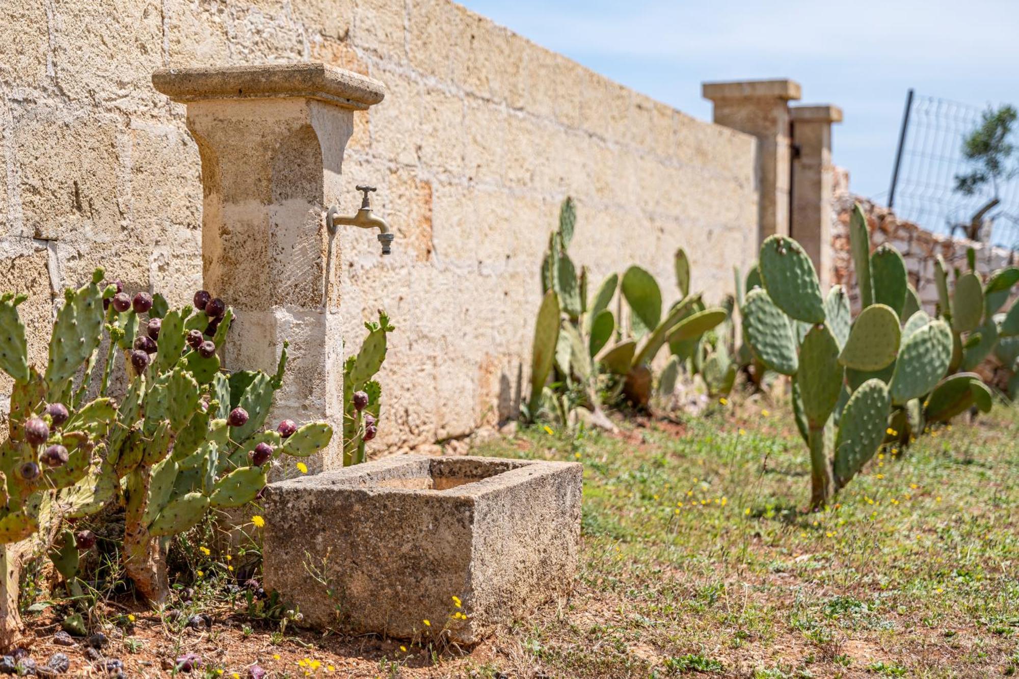 Leukos, Dimora Di Charme Vila Salve Exterior foto